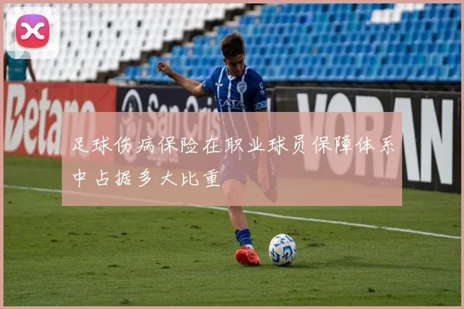 足球伤病保险在职业球员保障体系中占据多大比重
